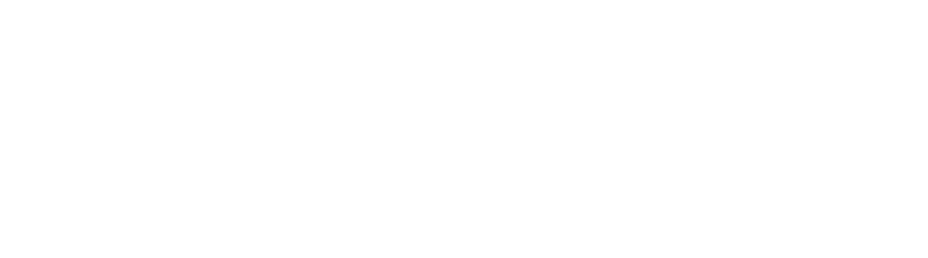 Health logo